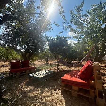 B&B Villa Tiziana 모노폴리 외부 사진